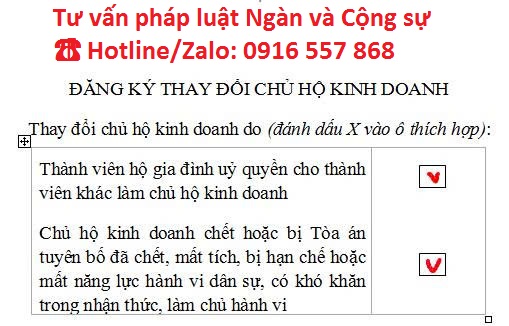 Mẫu thay đổi chủ hộ kinh doanh