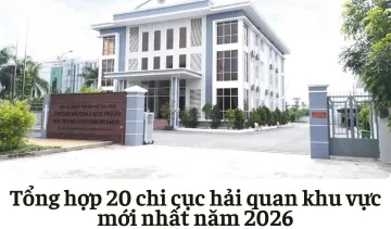 Tổng hợp 20 chi cục hải quan khu vực mới nhất năm 2026